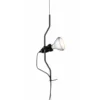 Ampoule Led - Parentesi
