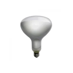 Ampoule Led - Parentesi