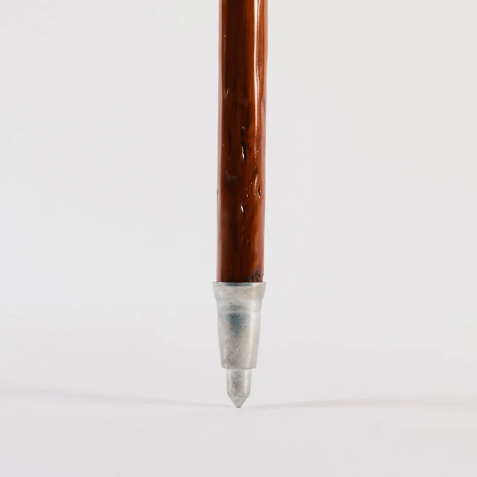 Baton de randonnée - Ours