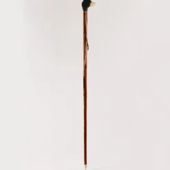 Baton de randonnée - Ours