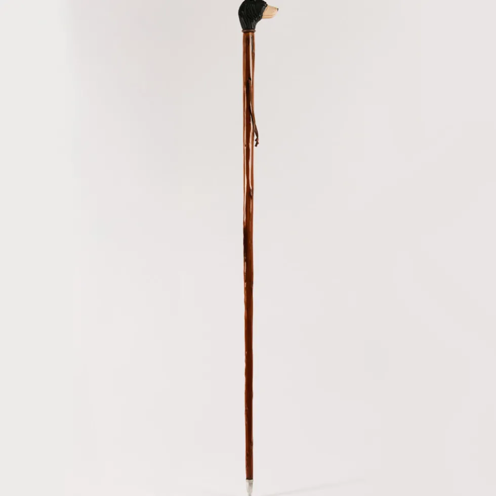 Baton de randonnée - Ours