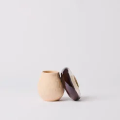 Boîte champignon en faïence