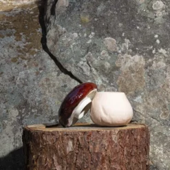 Boîte champignon en faïence