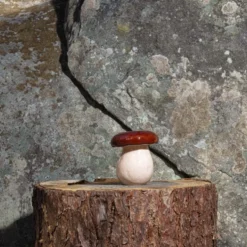 Boîte champignon en faïence
