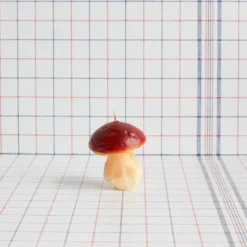 Bougie - Champignon