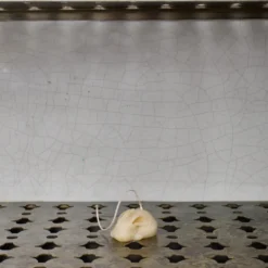 Bougie lapin - Beige