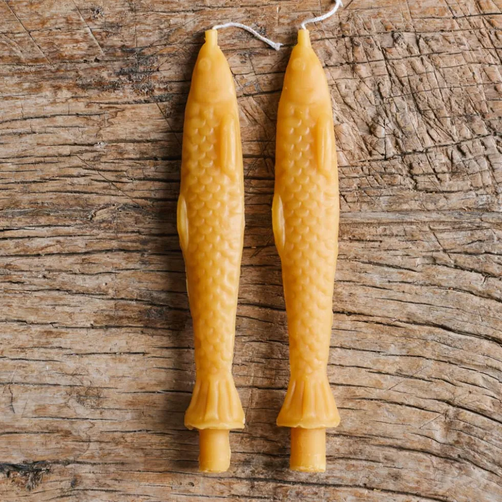 Bougie Poisson
