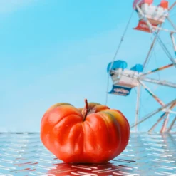 Bougie - Tomate Coeur de Boeuf
