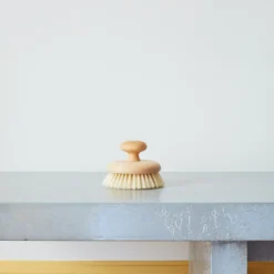 Brosse de massage avec pommeau