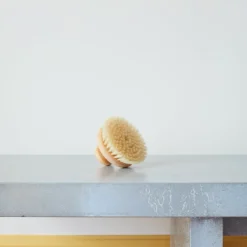 Brosse de massage avec pommeau
