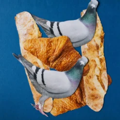 Carte Postale Merci - Pigeon