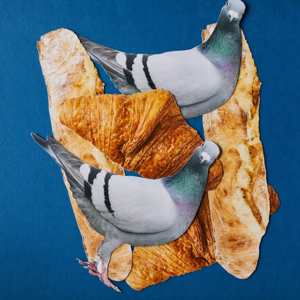 Carte Postale Merci - Pigeon