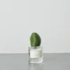 Eau de parfum - I Fig You - Fascent