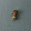 Gua Shroom - Unakite