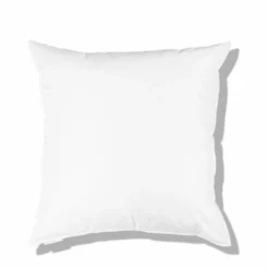 Intérieur de coussin en plume d'oie - Blanc
