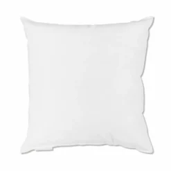 Intérieur de coussin en plume d'oie - Blanc
