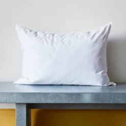 Intérieur de coussin en plume d'oie - Blanc