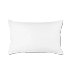 Intérieur de coussin en plume d'oie - Blanc