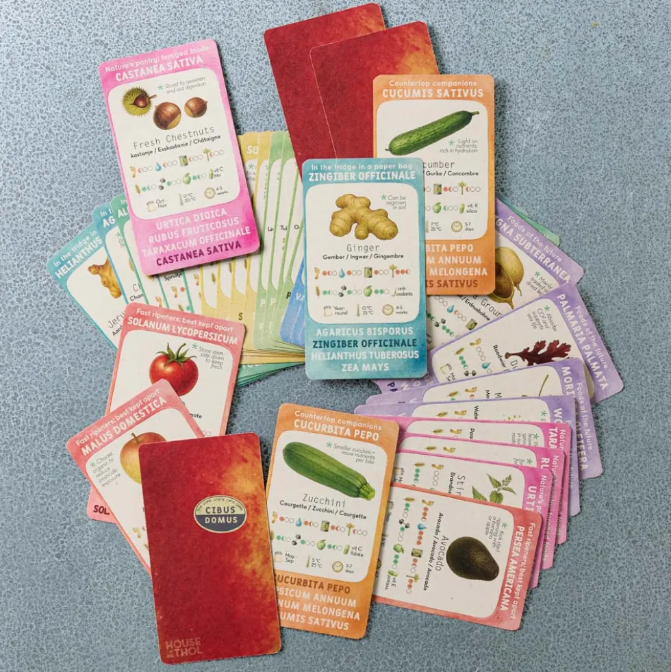 Jeu - Cibus Domus Quartet