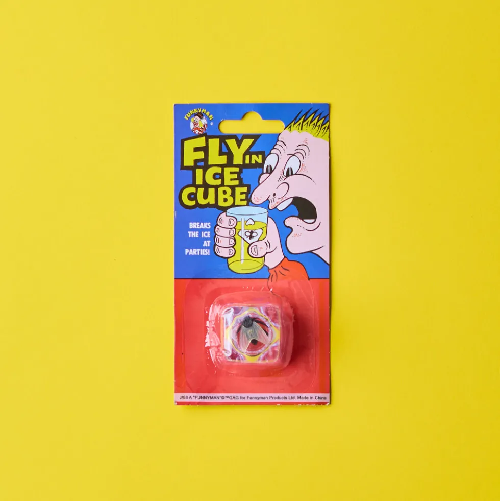 Jeu - Glaçon mouche