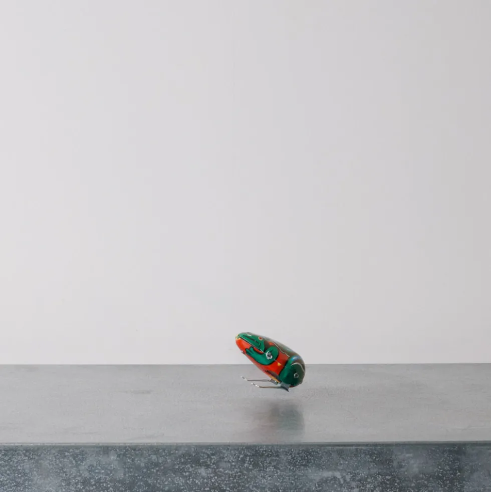 Jouet - Grenouille