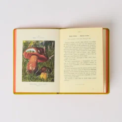 Livre Atlas - Champignons