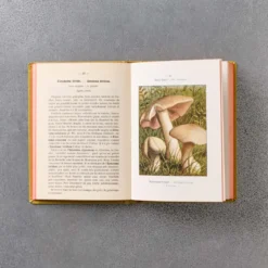 Livre Atlas - Champignons