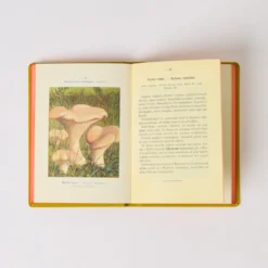 Livre Atlas - Champignons