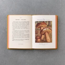 Livre Atlas - Champignons