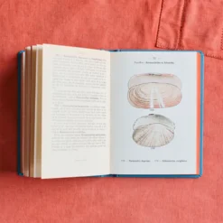 Livre Atlas - Coquilles des Côtes
