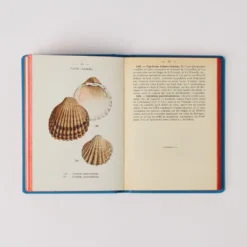 Livre Atlas - Coquilles des Côtes