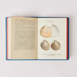 Livre Atlas - Coquilles des Côtes