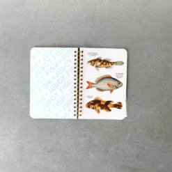 Livre - Judgy Fish Sticker Book