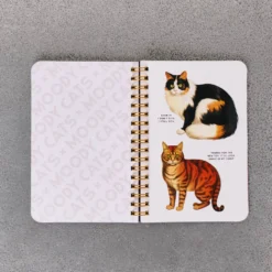 Livre - Moody Cats Stickers Book