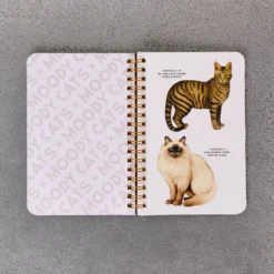 Livre - Moody Cats Stickers Book