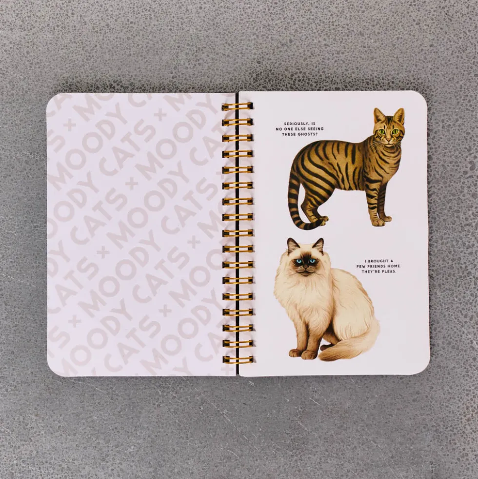 Livre - Moody Cats Stickers Book