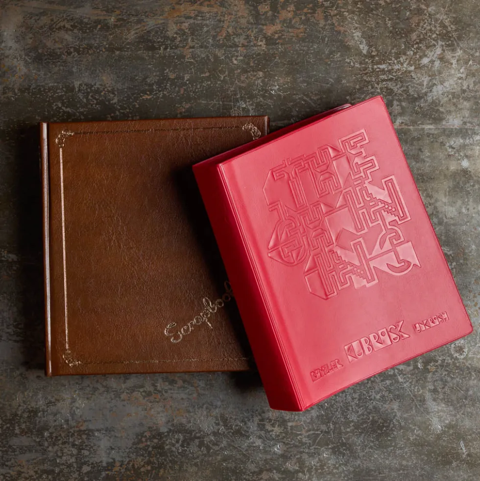 Livre - Stanley Kubrick's The Shining