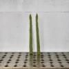 Lot de 2 bougies - Asperges