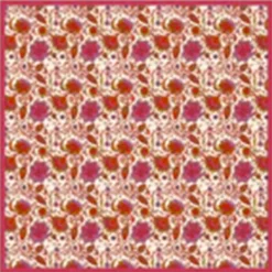 Moismont - Foulard Agra N°823 - Tulip