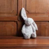 Peluche - Bashful Bunny - Jellycat