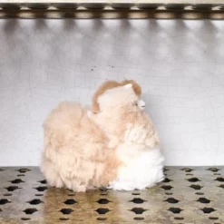 Peluche Lama en alpaga - Noix