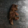 Peluche Ourson - Marron