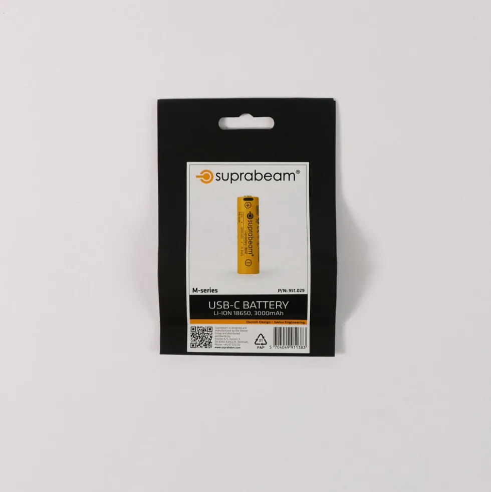 Pile rechargeable Usb-C