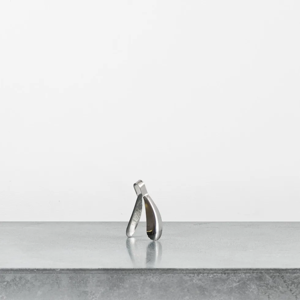Pince à moules en Inox