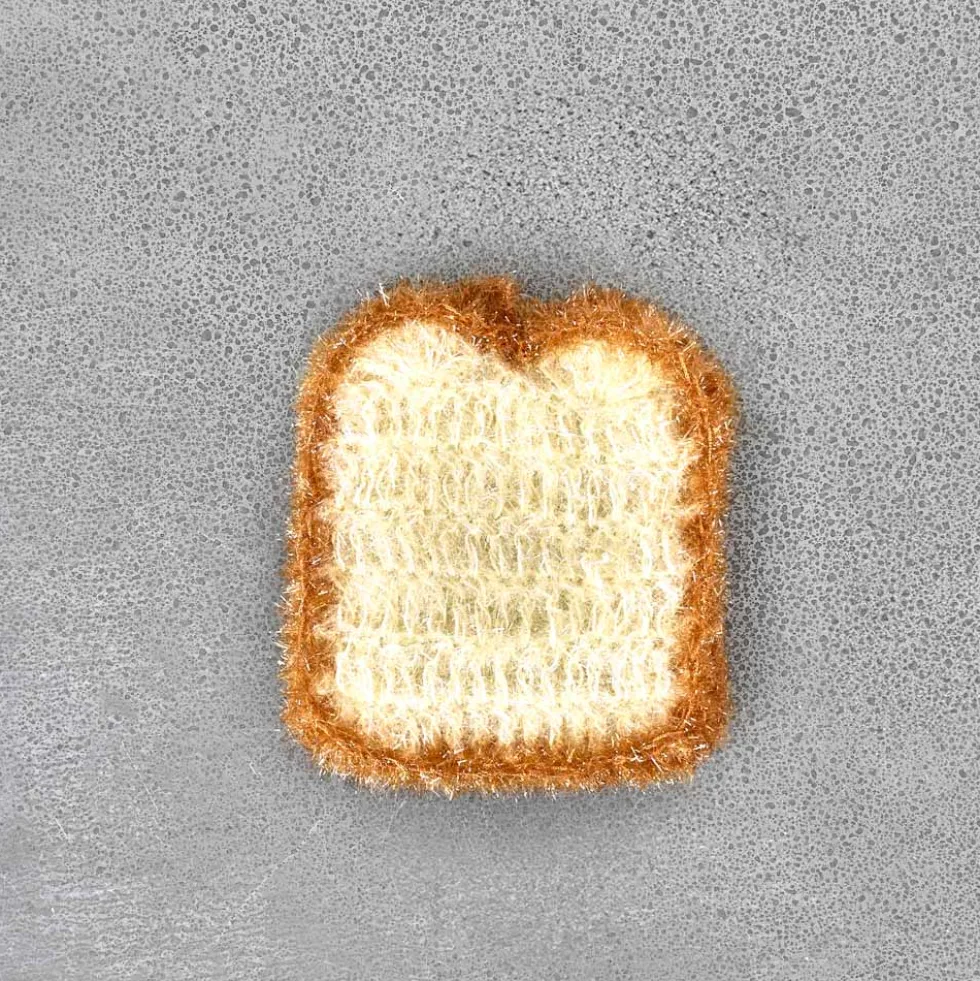 Éponge Toast