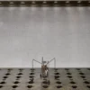 Robot Katita