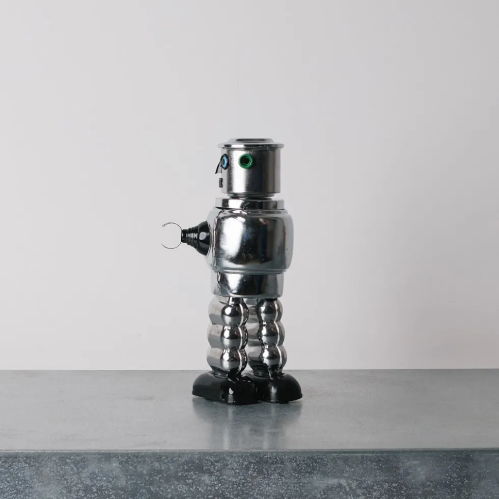 Robot Roby