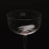 Serax - Coupe Champagne Anemone