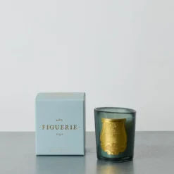 Trudon - Bougie parfumée Figuerie - 70G