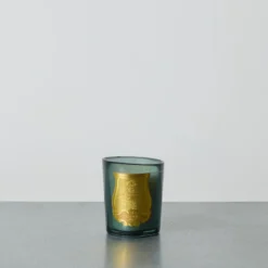 Trudon - Bougie parfumée Figuerie - 70G